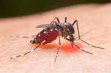 Waspada! Ribuan Warga...