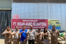Porang Sulawesi Selatan...