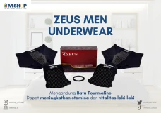 Zeus Men Underwear,...