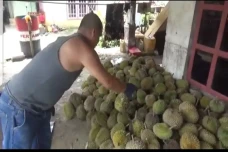Panen Melimpah, Harga...