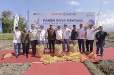 Panen Kedua Agrosolution...