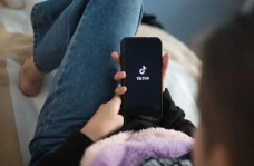 Viral di TikTok, Arti...