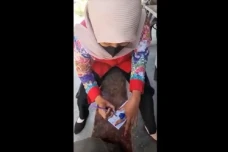 Heboh, Beredar Video...