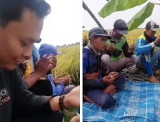 Viral! Aksi Petani Andalkan...