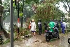 Hujan Angin, Pohon Tumbang...
