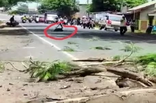 Tabrak Pohon Tumbang,...