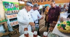 Kementan Gelar Job Fair...