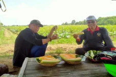 KTNA Nilai Food Estate...
