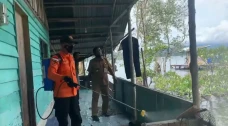 Hama Ulat Bulu Serang...