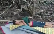 Tragis! Penebang Kayu...
