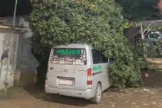 Hujan Angin, Pohon Durian...