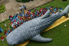 8 Ikan Terbesar di Laut,...