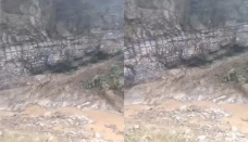 Batuan Berstruktur Buaya...