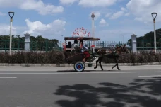 Satpol PP DKI: Delman...