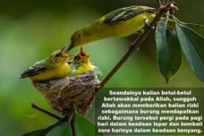 Hadis Tawakkal Burung...