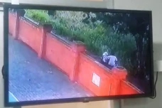 Asyik Mesum saat Masih...