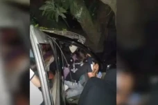 Mobil Tabrak Pohon Mangga...