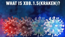 Omicron Kraken Bisa...