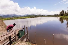 Sungai Keruh Akibat...