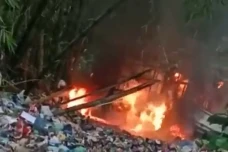 2 Pencuri Kerbau Tewas...