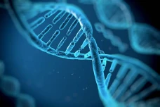 Bangun Database DNA...