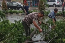 Hujan Angin, Pohon Tumbang...