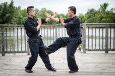Wing Chun, Seni Bela...