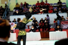 PDIP Bakal Gelar Festival...