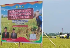 Pemkab Pidie Aceh Panen...