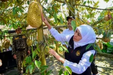Gubernur Khofifah Dorong...