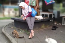 Fenomena Gerakan Street...