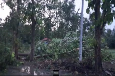 Lampung Utara Diterjang...