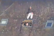 Viral! Lahan Ganja Digerebek,...