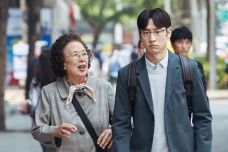 7 Film dan Drama Korea...