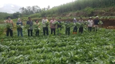 Dukung Konsep Edu Agrowisata,...