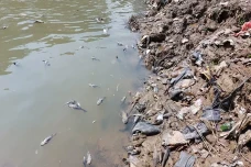 Sungai Cileungsi Bogor...