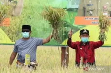 Tapin Tawarkan Solusi...
