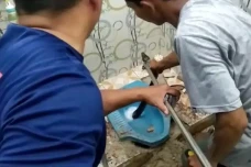 Horor! Mau Buang Hajat,...