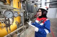 PGN Subholding Gas Pertamina...