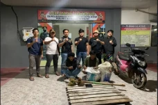 Curi Udang di Tambak...