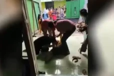 Viral Ibu dan Putrinya...