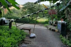 Viral Jalan Ambles di...