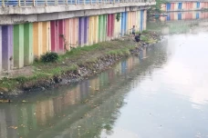 Viral! Ratusan Ikan...
