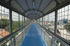 Viral Seorang Pria BAB...