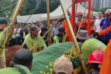 Langka! Begini Proses...