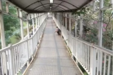 Camat Setiabudi Perintahkan...