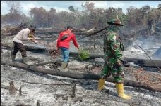 Polres Pelalawan Selidiki...