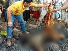 Tak Kunjung Pulang,...