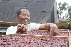 Kopi Jadi Alternatif...