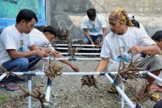Relawan Ganjar Edukasi...